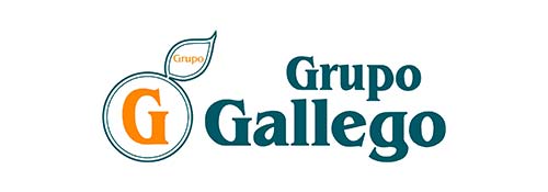 Frutas Gallego Logo